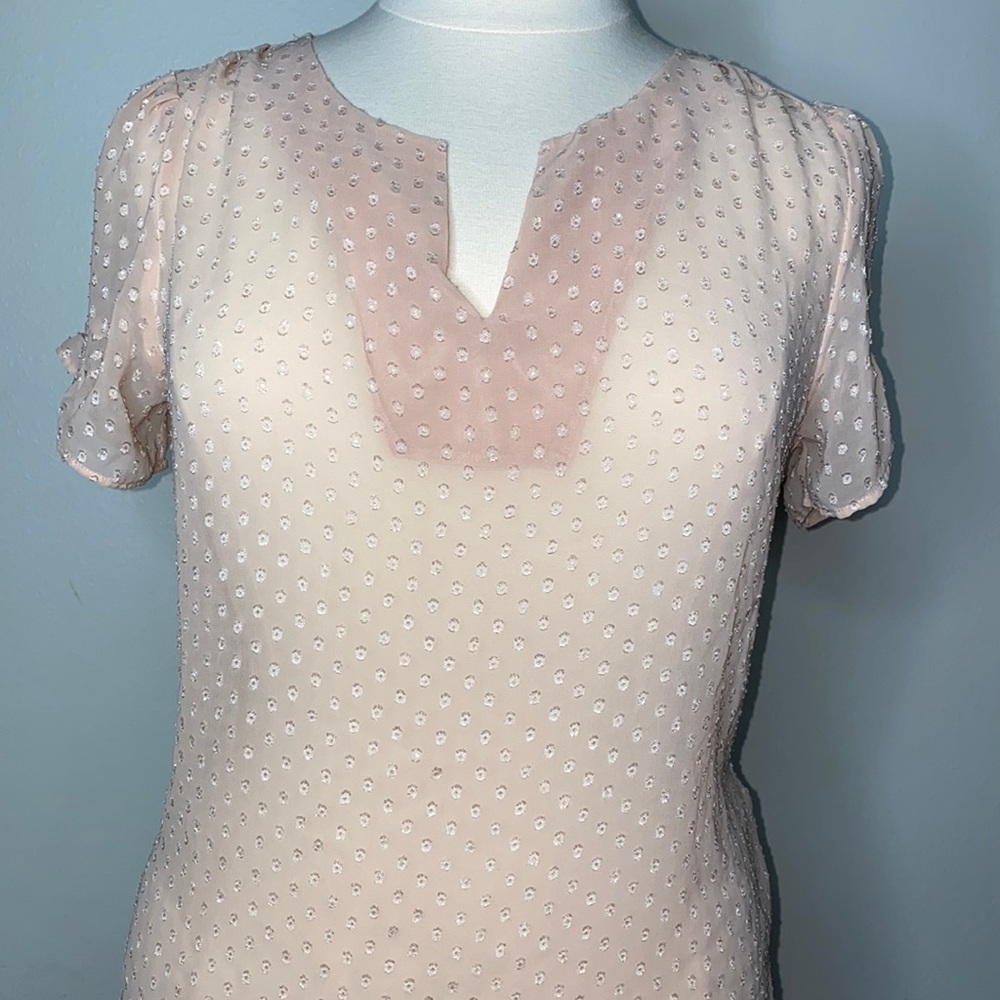Sheer Pink Blouse
